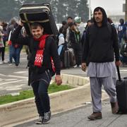 Migranter köar för att komma ut ur lägret utanför Calais, 24 oktober, 2016.