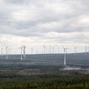 Vindkraftverk ses från berget Kalahatten i Piteå kommun.