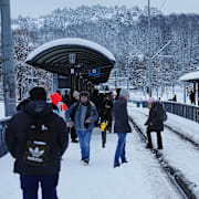 Kollektivtrafiken står i princip helt stilla.