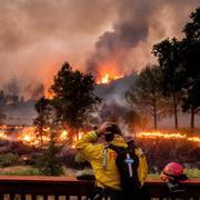 Arkivbild: En brandman ser ut över elden i Napa Valley, Kalifornien.