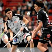 SM-final i innebandy 2008.