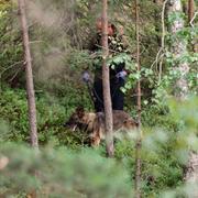 Teknik och hundförare på platsen i Nacka.