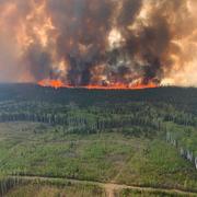 Brand i Alberta.