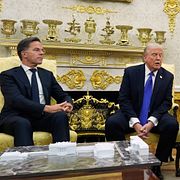 Mark Rutte tillsammans med Donald Trump, Marco Rubio och Pete Hegseth under ett besök i Vita huset 2025.