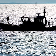 Sjöräddningen. Illustrationsbild.