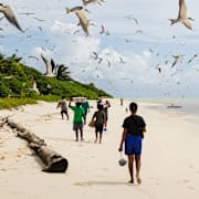 Arkivbild från Palau. 