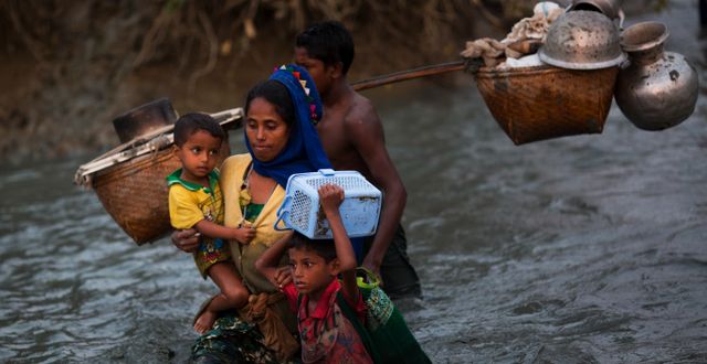 Rohingyer på flykt från Myanmar till Bangladesh.  Bernat Armangue / TT NYHETSBYRÅN