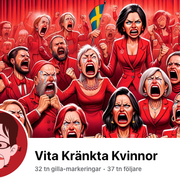 Utpekade SD-trollkontot ”Vita kränkta kvinnor”