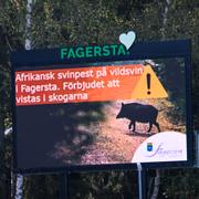 Skylt uppsatt av Fagersta kommun med texten "Afrikansk svinpest på vildsvin i Fagersta. Förbjudet att visats i skogarna", med anledning av utbrottet av afrikansk svinpest. 