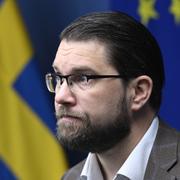 Sverigedemokraternas partiledare Jimmie  Åkesson.