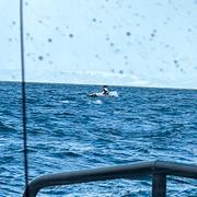 Räddningspersonal ute med båt vid skredet på Reinøya