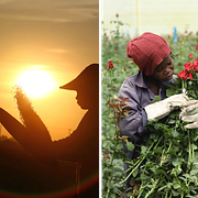 Myanmar, Kenya och Thailand.