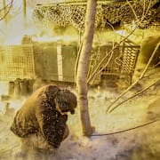 Ukrainska soldater skjuter mot ryska soldater i Donetsk/Ukrainas nya försvarsminister Mychajlo Fedorov.