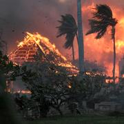 Bränder på Hawaii.