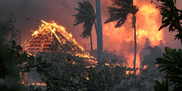 Bränder på Hawaii. Matthew Thayer / AP