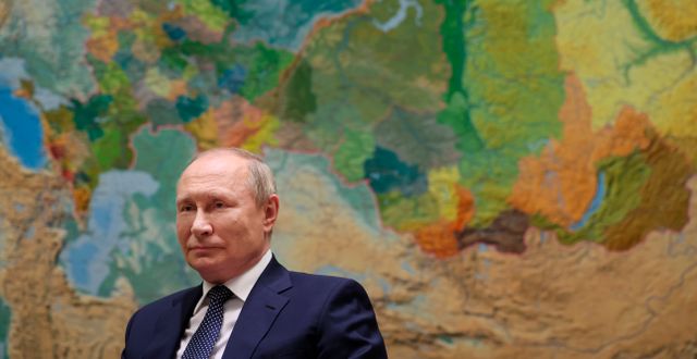 Putin. Mikhail Klimentyev / AP