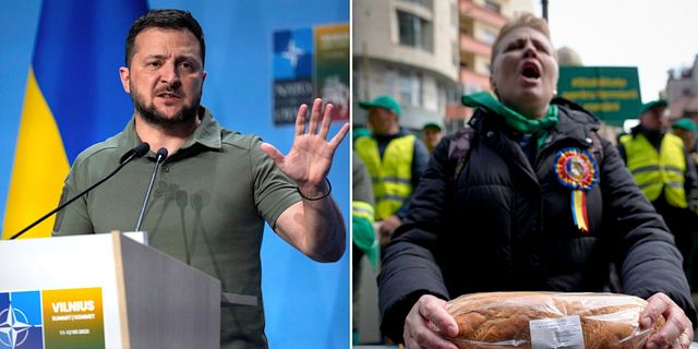 Zelenskyj/Rumänsk bonde protesterar mot billigt ukrainskt spannmål. AP