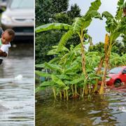 Bilder från Louisiana.