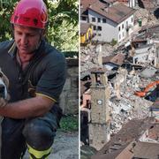 Hunden Romeo, flygbild över förödelsen i Amatrice