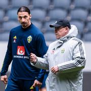 Ibrahimovic och Andersson. Arkivbild.