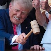 Enligt Time försöker Trump utnyttja det han ser som ett kryphål i lagen: Möjligheten att dra tillbaka medborgarskap från utlänningar som en gång fått ett – ”denaturalization” är den amerikanska termen. 