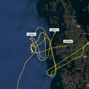 Räddningsarbetet efter den störtade helikoptern på Flightradar24. 