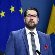 Jimmie Åkesson. Arkivbild.