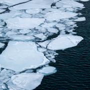 Isflak på Svalbard utanför Longyearbyen.