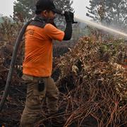 Brandmän bekämpar bränder i Indonesien.