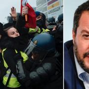 Gula västarna/Salvini.