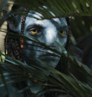 ”Avatar”, ukrainsk soldat. Illustrationsbild. Disney, Libkos / AP