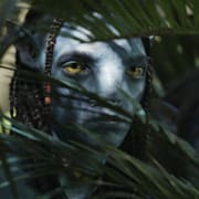 ”Avatar”, ukrainsk soldat. Illustrationsbild. Disney, Libkos / AP