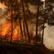 En brand i nordvästra Spanien. 