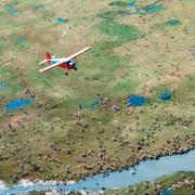 Arctic National Wildlife Reserve.