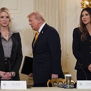 Pam Bondi, Donald Trump och Kristi Noem i slutet av förra året.