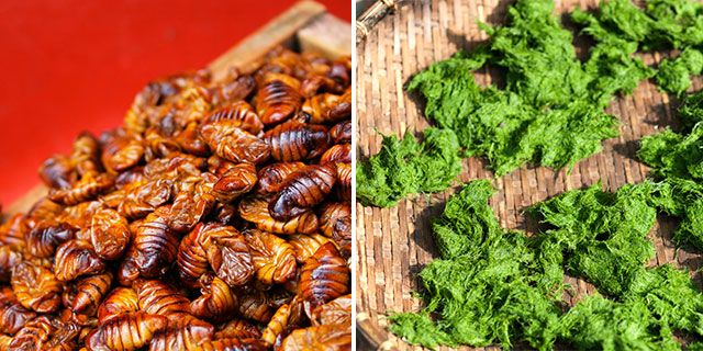 Enligt en ny Sifoundersökning kan många tänka sig att äta insekter och alger i framtiden.
