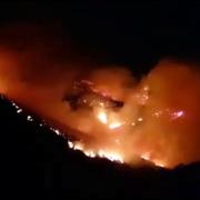 Skogsbrand på Gran Canaria.