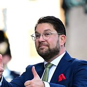 Sverigedemokraternas partiledare Jimmie Åkesson vid riksmötets öppnande förra hösten.
