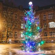 Julgran framför tom skola i Oslo. Kommunen inför hemundervisning från och med fredag. 