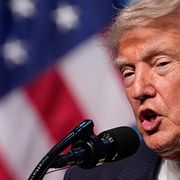 President Donald Trump.