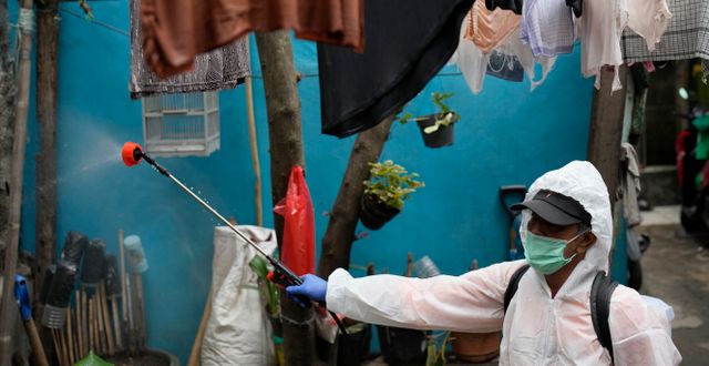 En Röda Korset-medarbetare sprutar desinfektionsmedel i ett fattigt område i Jakarta. Indonesien gör sig nu redo för en tredje coronavåg. Dita Alangkara / AP