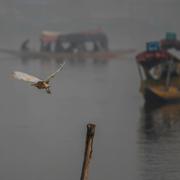 Nazima bor nu i en lägenhet i Srinagar, Kashmir.