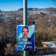 En valposter med AFD:s ledare Alice Weidel. 