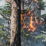 Blixtnedslag kan leda till skogsbränder, varnar SMHI. En varning har utfärdats för nästan hela södra Sverige som gäller under måndagen.