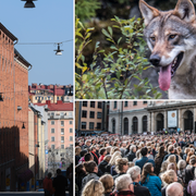 Konst på Kungsholmen och knytblusprotesterna på Stortorget var några av årets mest omskrivna händelser i huvudstaden.