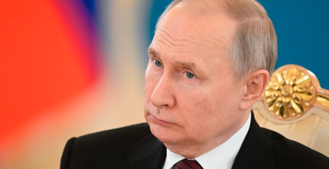  President Vladimir Putin. Ilya Pitalev / AP