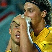 Larsson 2021 och Larsson och Ibrahimovic 2004. 