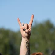 Punkfestivalen Dunndret är planerad att anordnas i sommar. 