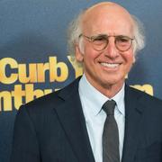 Larry David. 