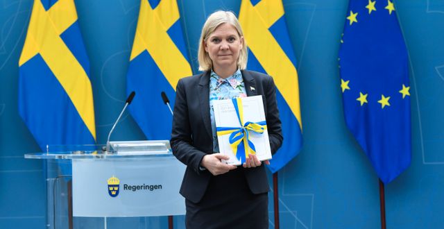Finansminister Magdalena Andersson (S) presenterar vårbudgeten vid en digital pressträff i Rosenbad Fredrik Sandberg/TT / TT NYHETSBYRÅN